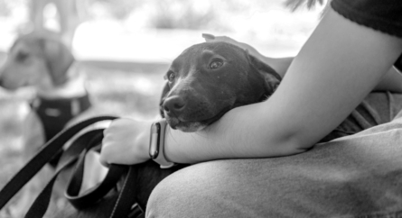 Woman With Dog B&w