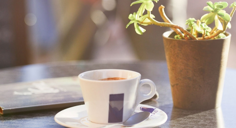 Coffee cup, menu, and plant on an outdoor cafe table.