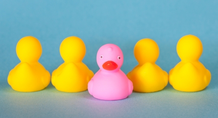 Four yellow rubber ducks facing away from a single pink rubber duck.