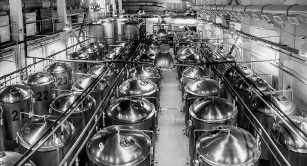 Beer production plant, several rows of steel tanks.