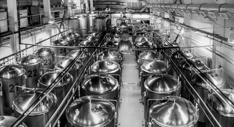 Beer production plant, several rows of steel tanks.