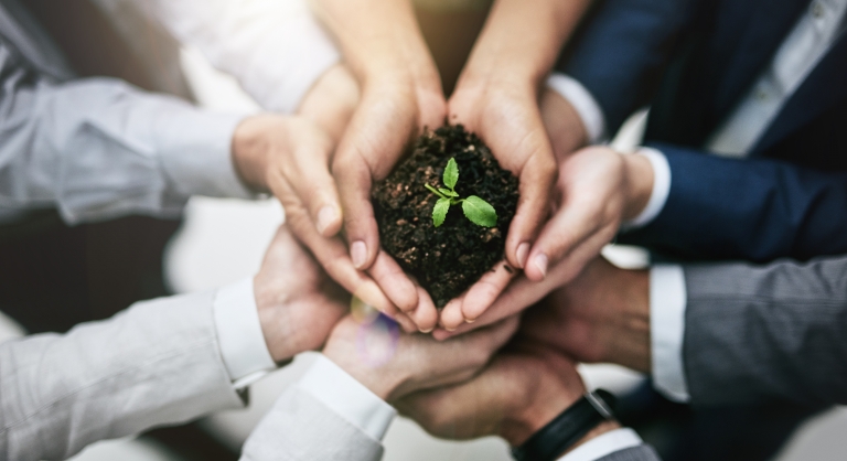 Over-head shot of hands of people in business attire holding a pile of soil with a single sprout coming out of it.