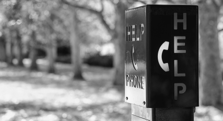 Campus security call box.