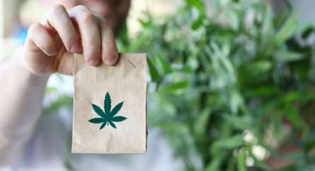 marijuana leaves and a hand holding a small brown bag with a marijuana leaf on it